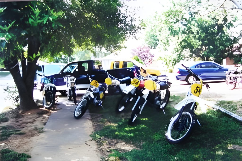 Motorcycles parked under trees near cars.